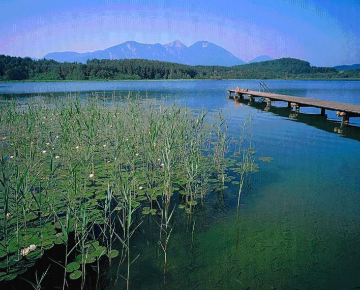 Отель Skorianzhof Эберндорф Экстерьер фото