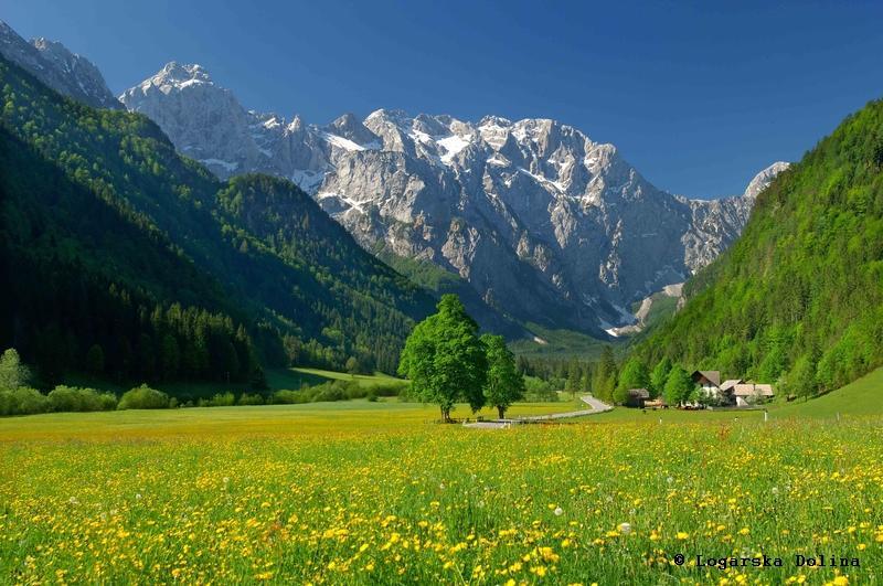 Отель Skorianzhof Эберндорф Экстерьер фото